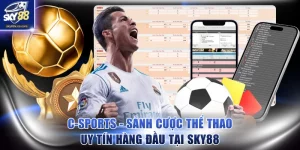 C-Sports