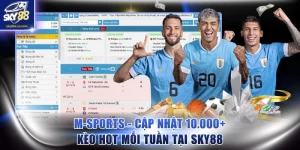 M-Sports